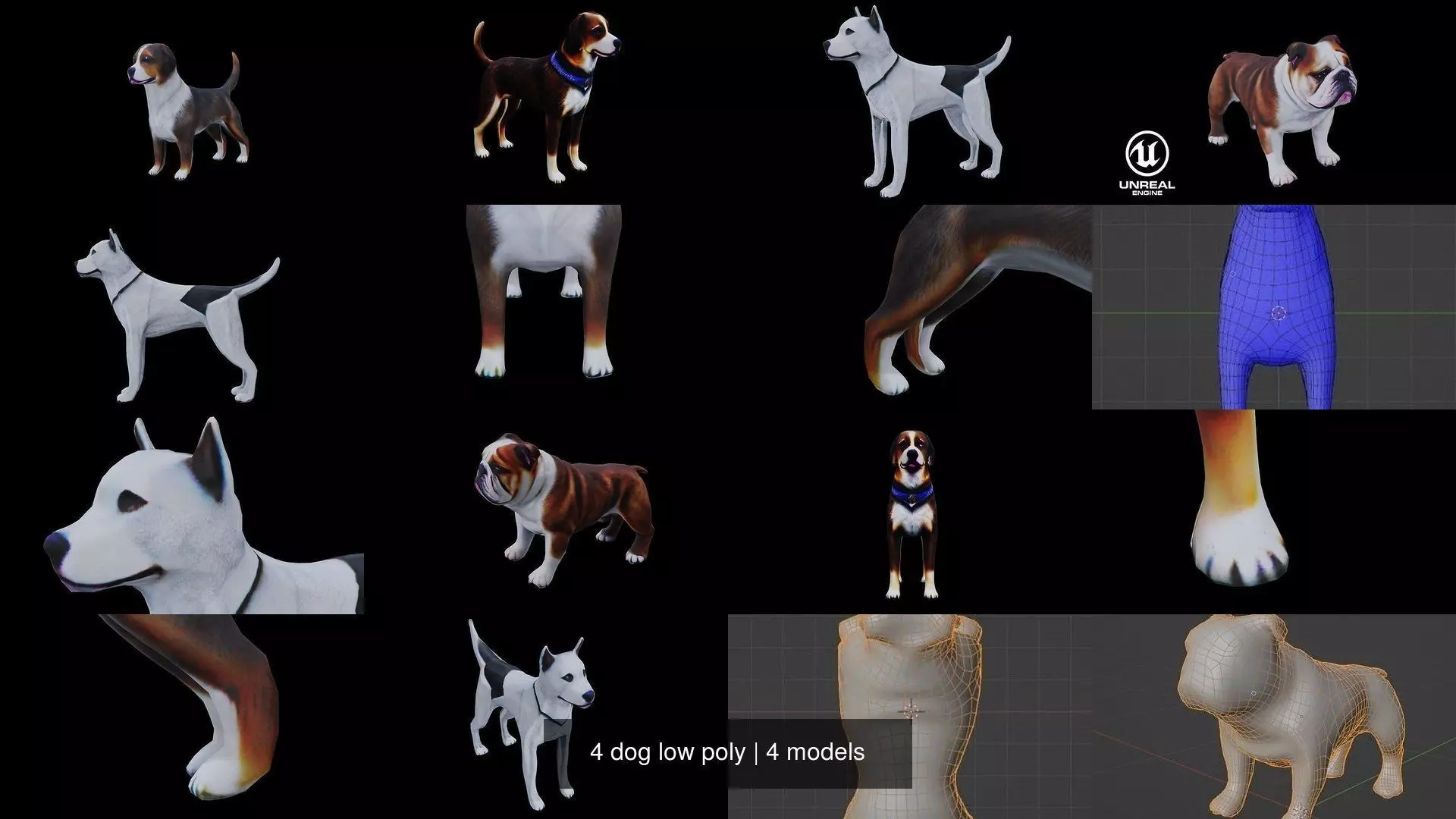 4 dog low poly 3D Model Collection_0