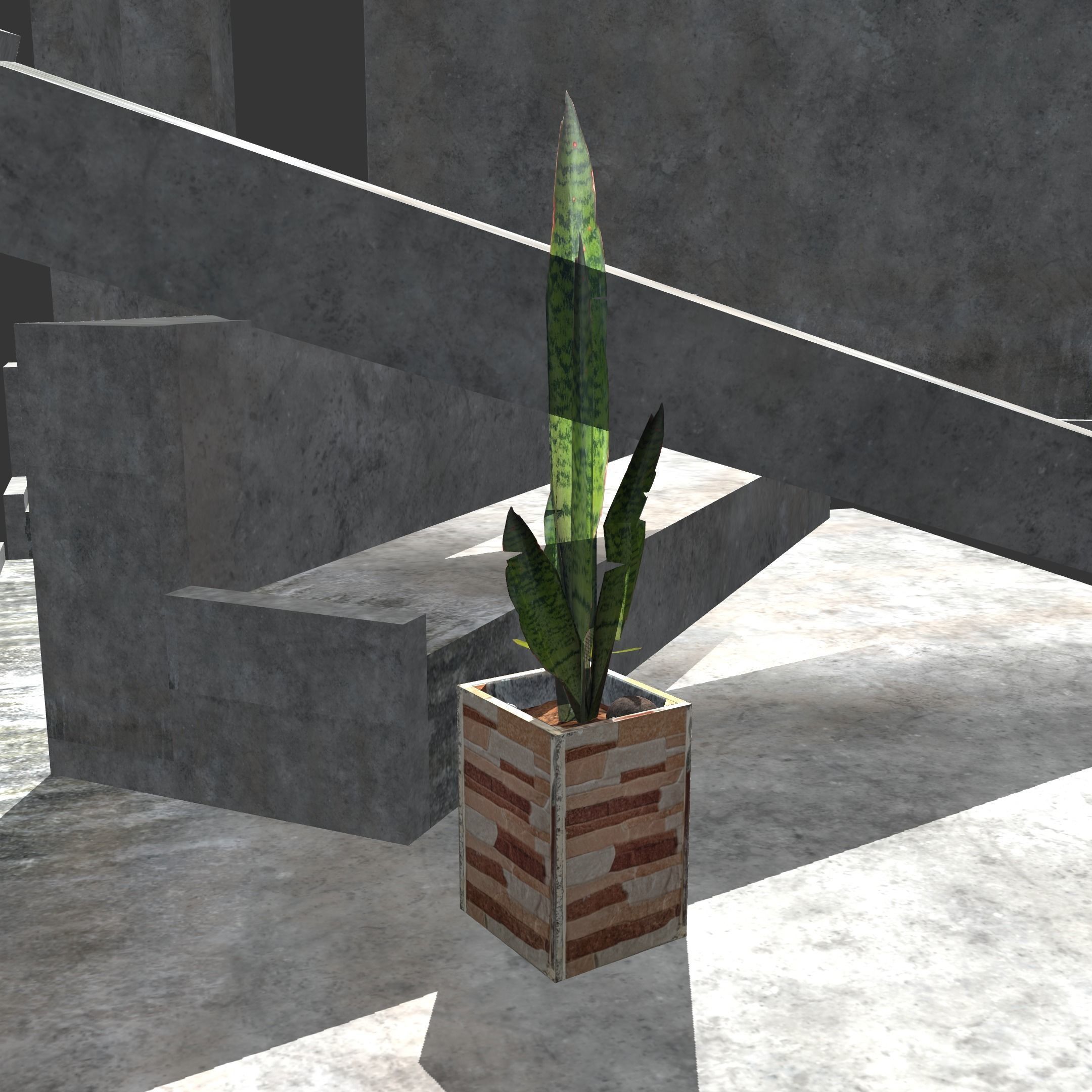 Snake plant Free low-poly 3D model_1