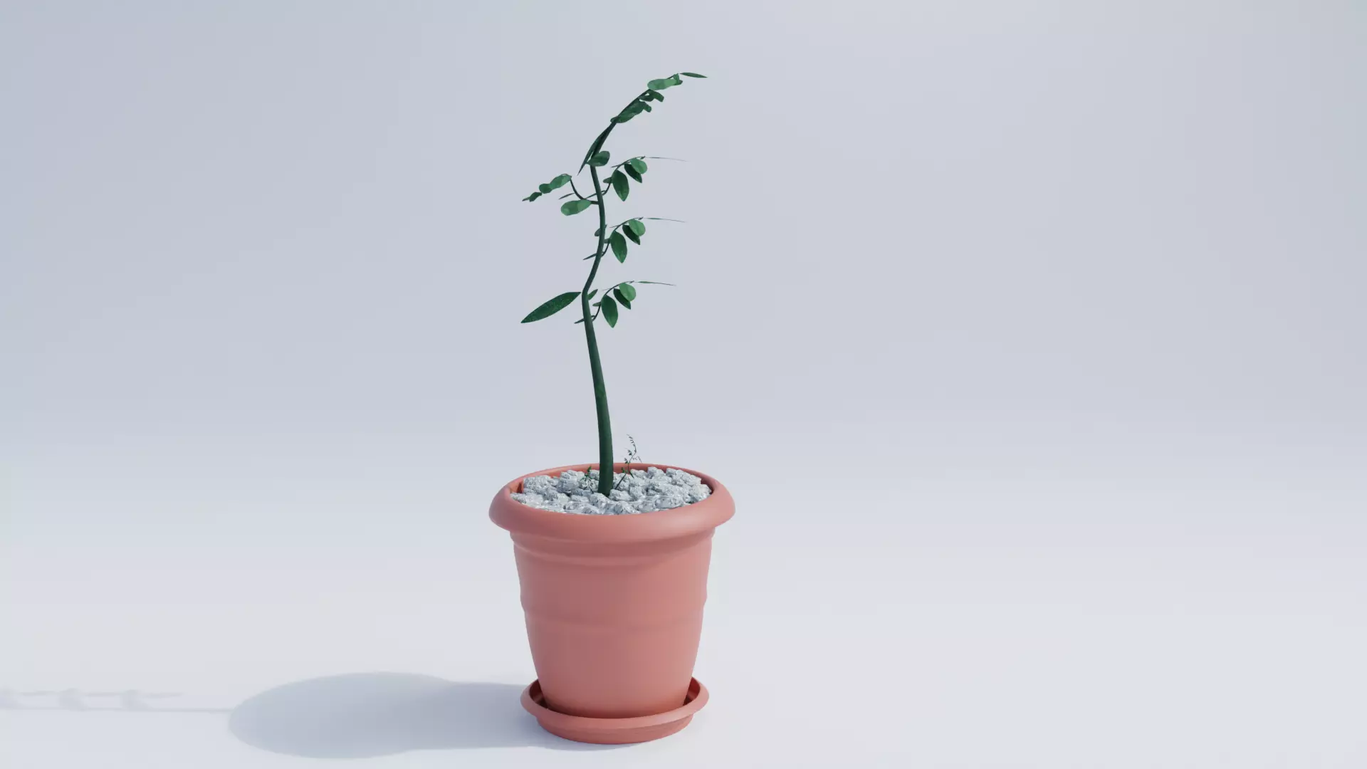 Flower and Vase 3D model