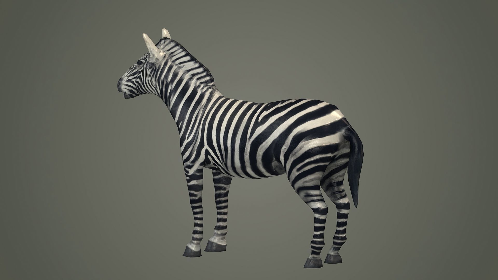 animals animal zebra horse land mammals plains mammal 3D model_1