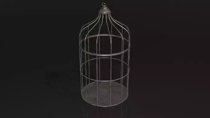 Iron Cage for Bird