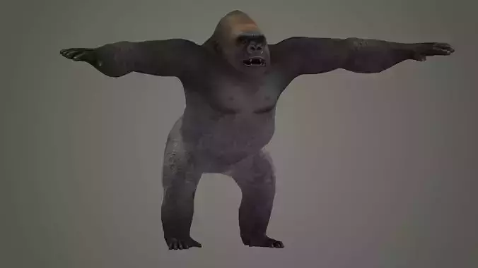 gorilla ape kong king king kong beast orangutan monkey mammal