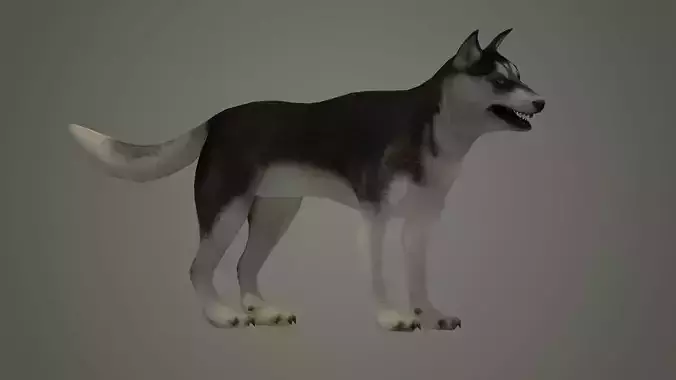 dog animal mammal husky siberian alaska cabin snow perro 3D model