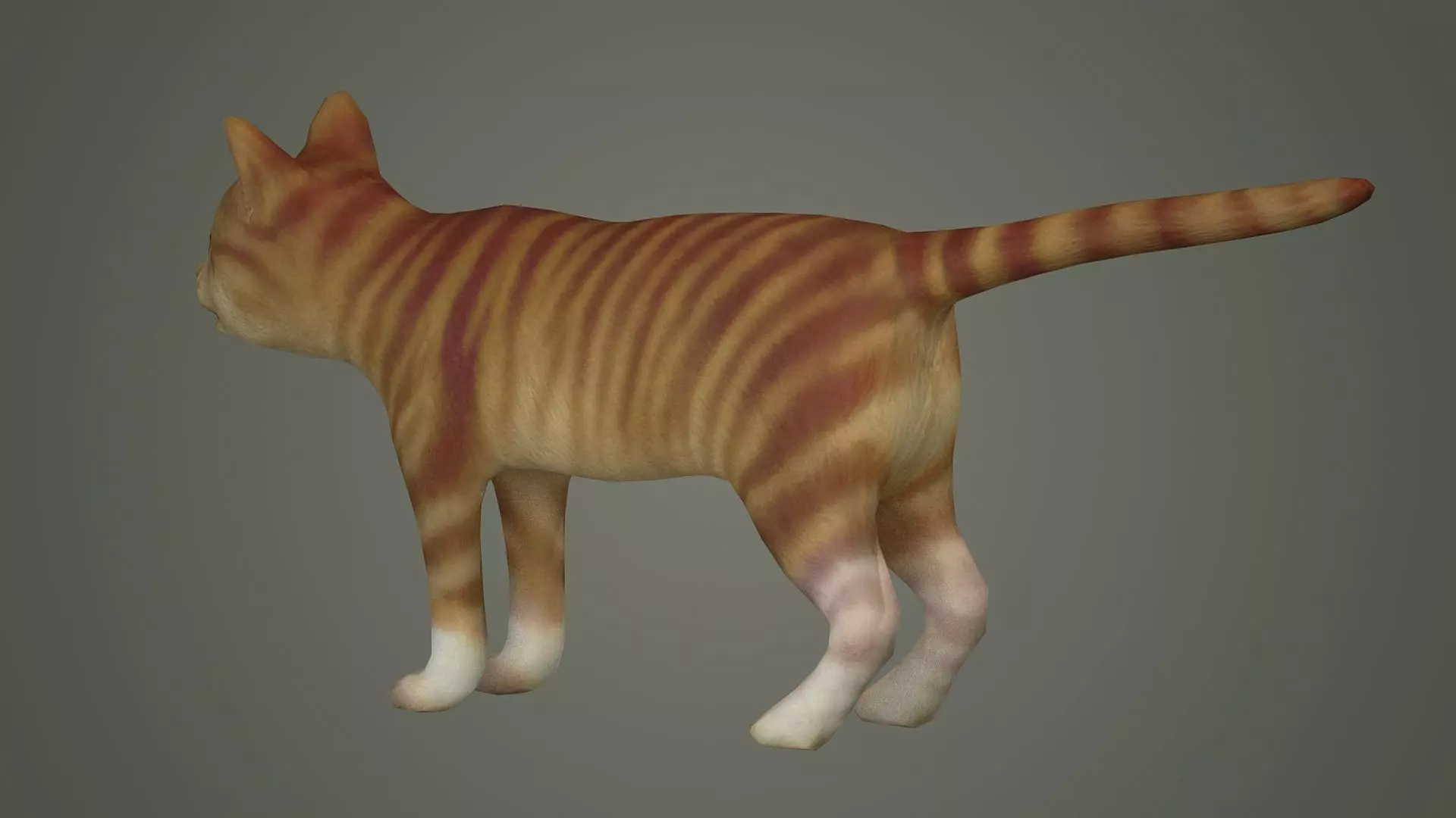 cats siamese tabby orange kitty animals puppy cat mammal 3D model