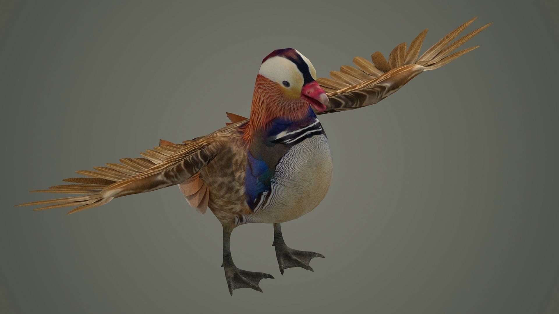 bird duck mandarin colorful beautiful nature animal 3D model_2