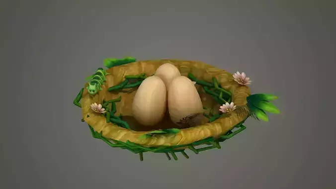 bird nest birdnest egg eggs robin bluebird eagle feeder house 