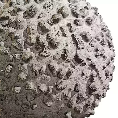 Concrete Seamless Texture 2K - EXR 5 - JPG 5 Texture