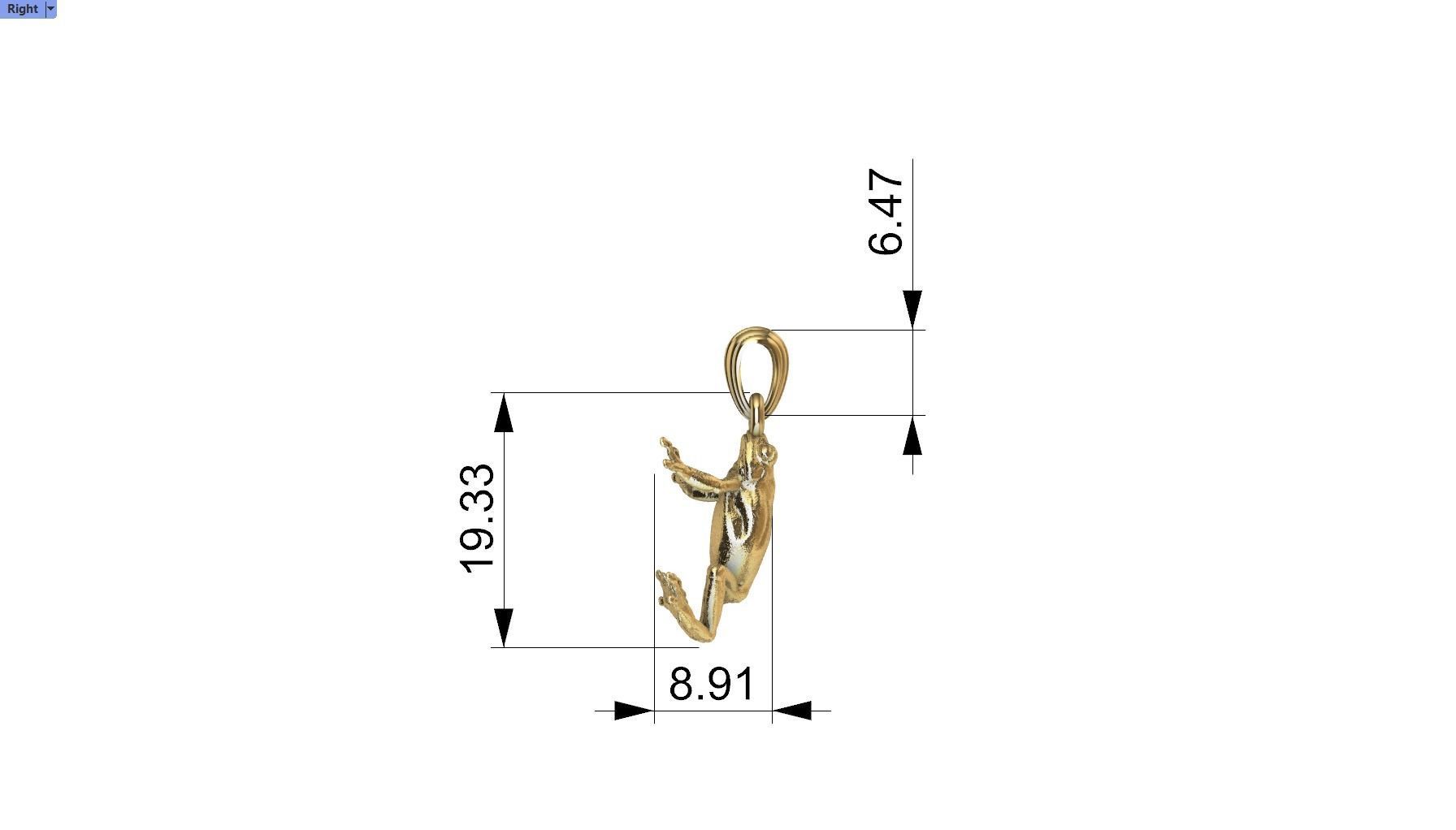 3D Frog Pendant Necklace Charm Jewelry 3D print model_16