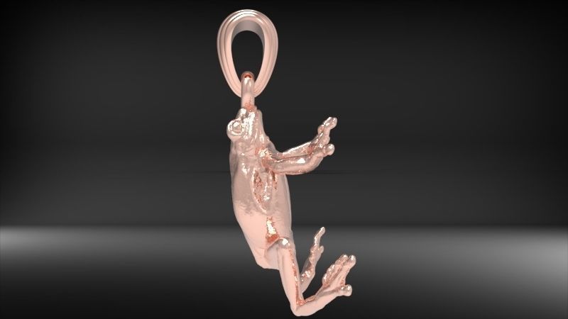 3D Frog Pendant Necklace Charm Jewelry 3D print model_25
