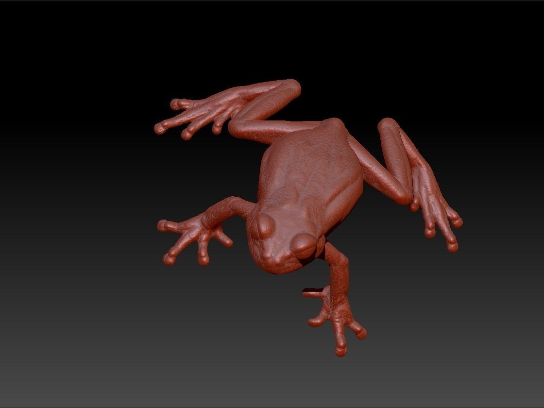 3D Frog Pendant Necklace Charm Jewelry 3D print model_1