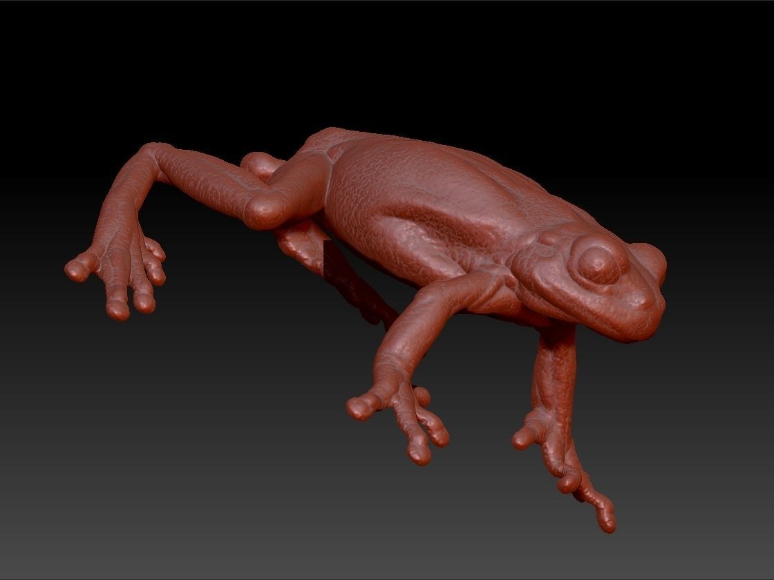 3D Frog Pendant Necklace Charm Jewelry 3D print model_3