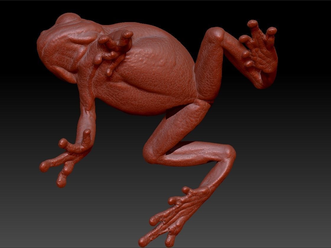 3D Frog Pendant Necklace Charm Jewelry 3D print model_7