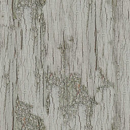 Summer Mountain view Textures Low-poly 3D model Low-poly 3D model_17