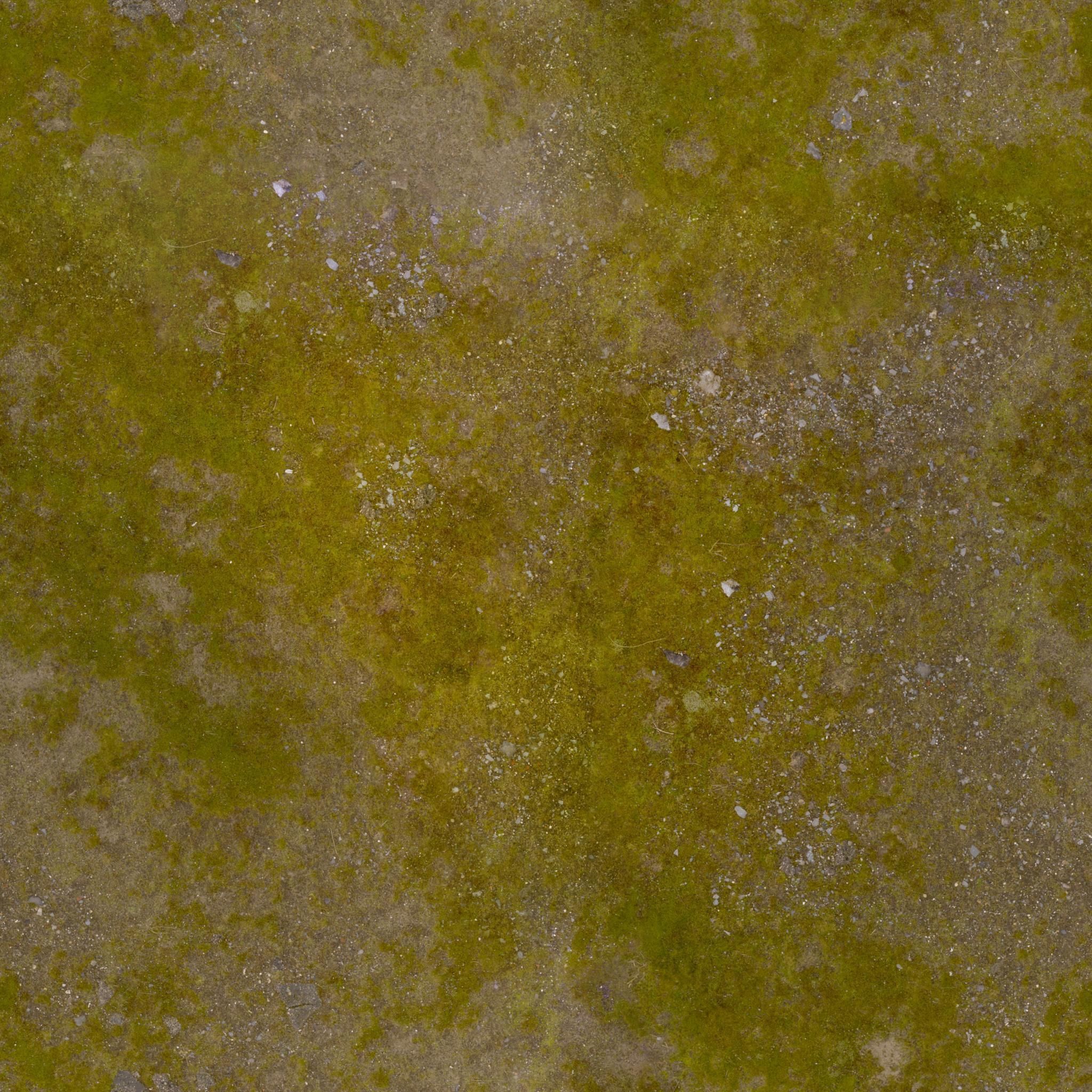 Summer Mountain view Textures Low-poly 3D model Low-poly 3D model_16