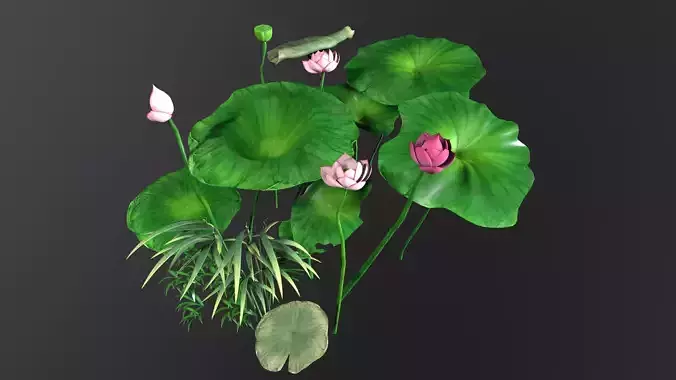 lotus Low-poly 3D model