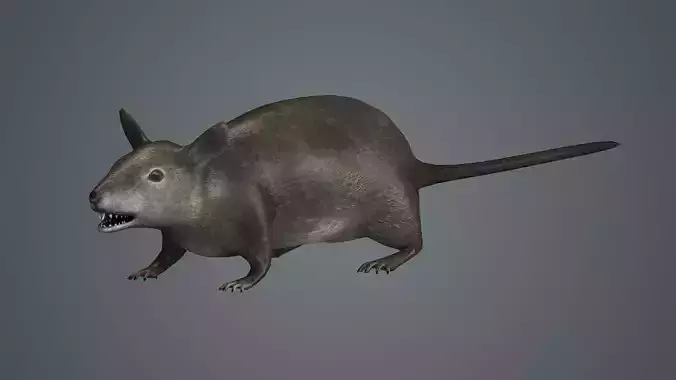 rat fur mouse mice animals rodent farm epidemic 