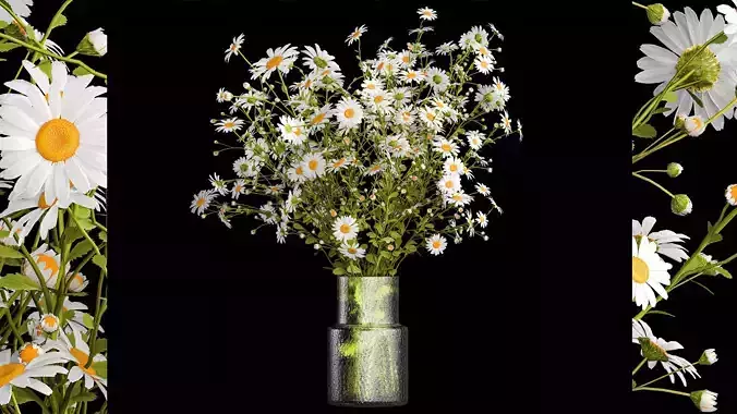 Bouquet of white wildflowers chamomile daisies 412
