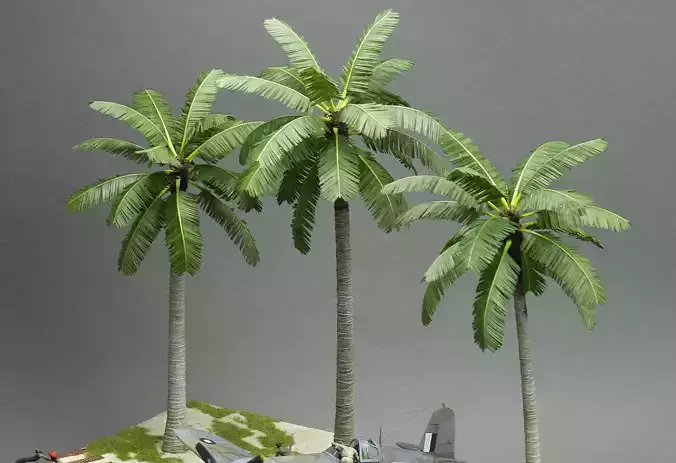Coconut palm trees for 3D print 3D print model
