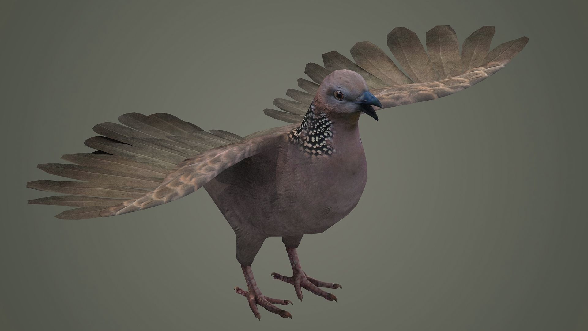 sparrow falcon eagle jay stork pelican swan 3D model_2