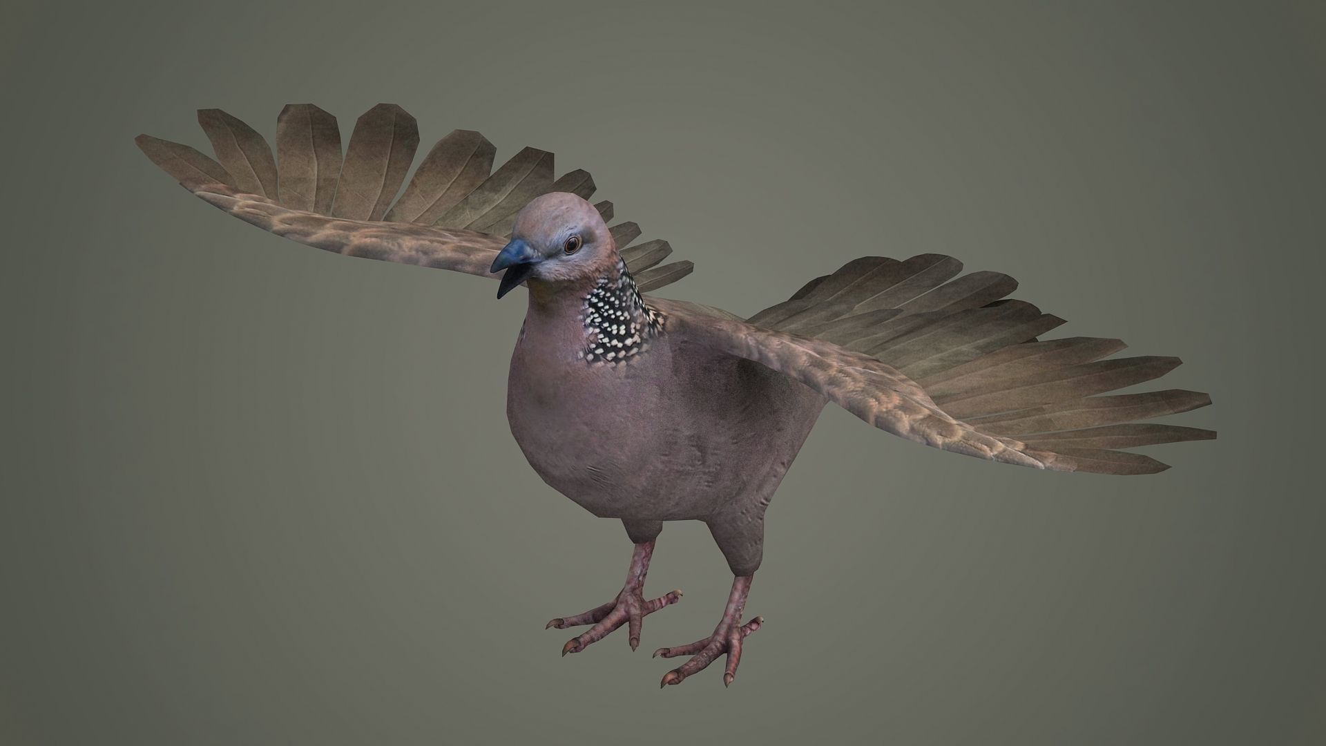 sparrow falcon eagle jay stork pelican swan 3D model_1