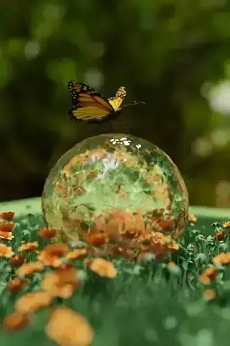 Butterfly sitting on water bubble 3d view Low-poly 3D model