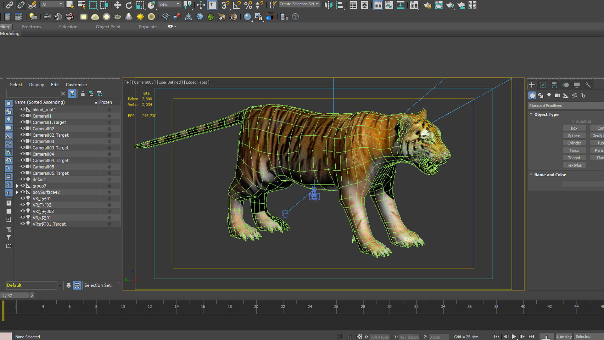 tiger wild cat lion zoo panther puma mammal nature panzer 3D model_5