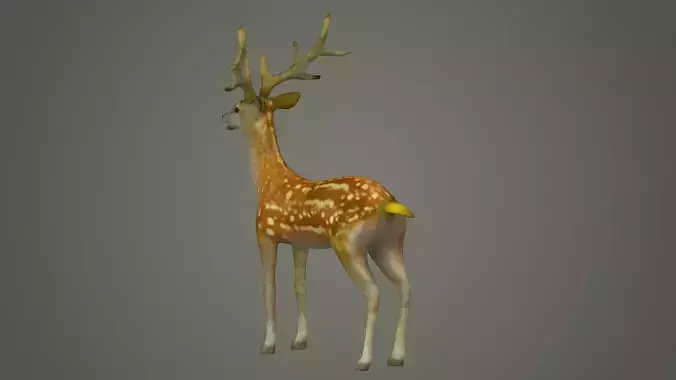 deer stag animal doe game lowpoly forest animation 