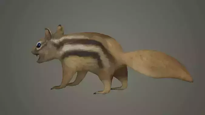 squirrel cute animal mammal wildlife little hamster marmot