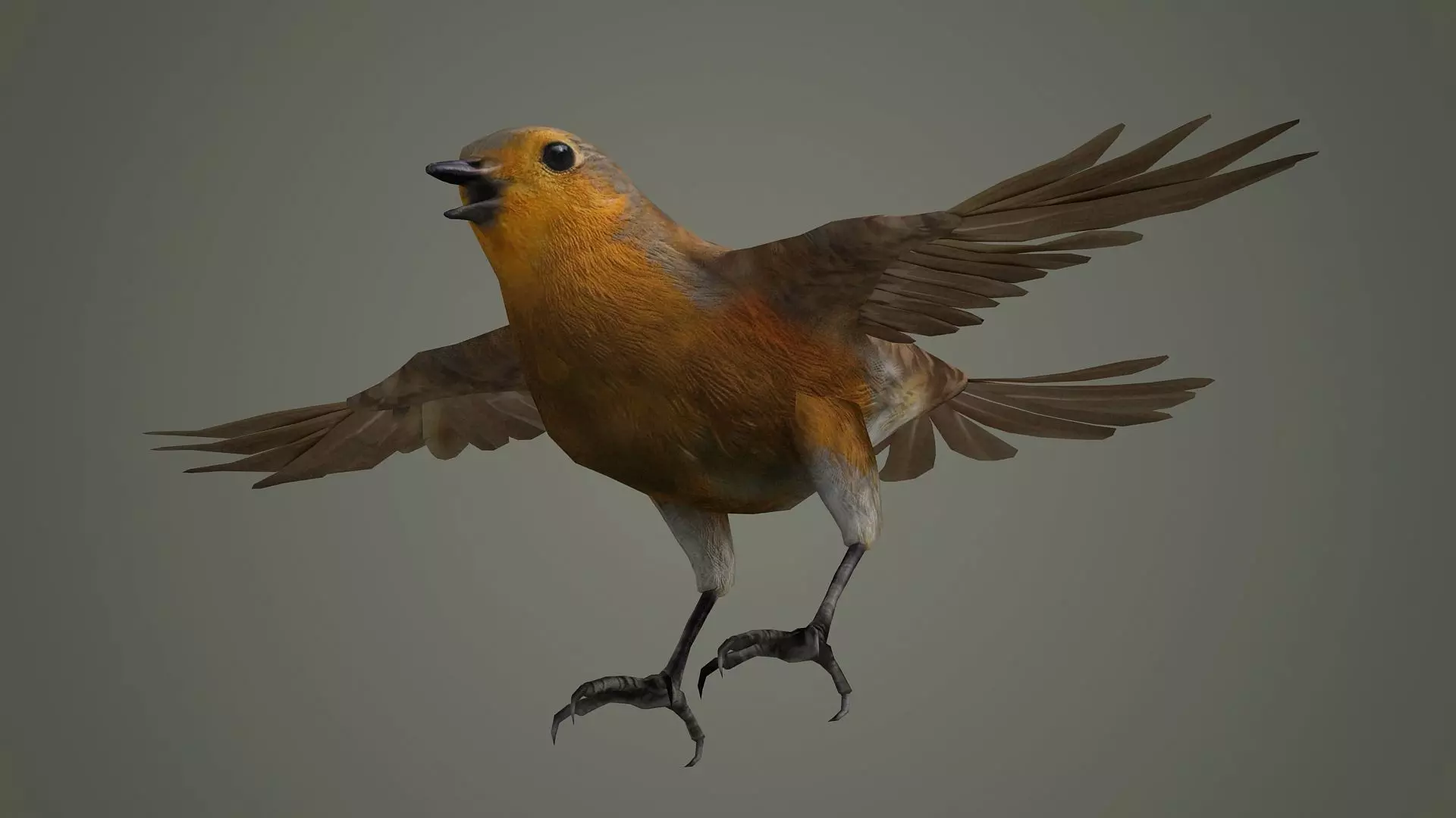 bird jay bee feather eagle cockatoo toucan sparrow 3D model