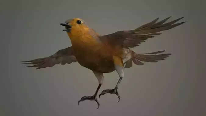 bird jay bee feather eagle cockatoo toucan sparrow 