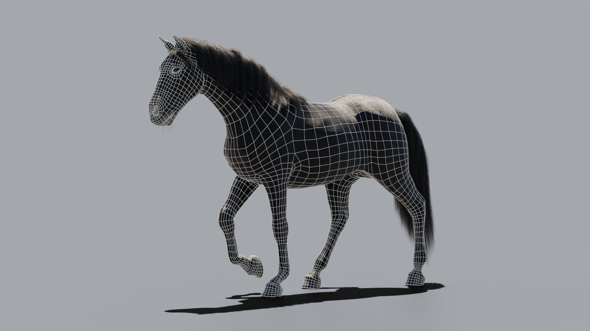 Black horse 3D model_9