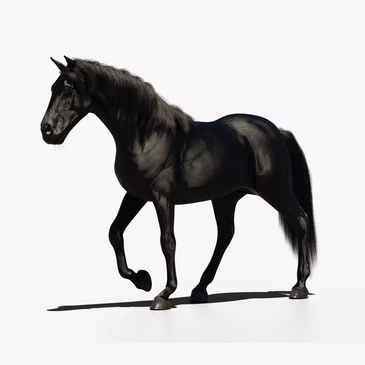 Black horse 3D model_0