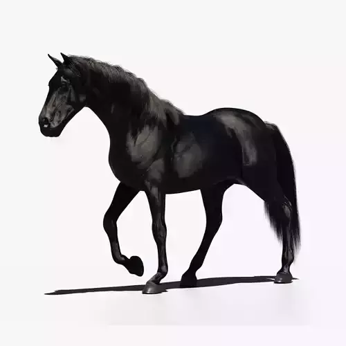 Black horse 3D model