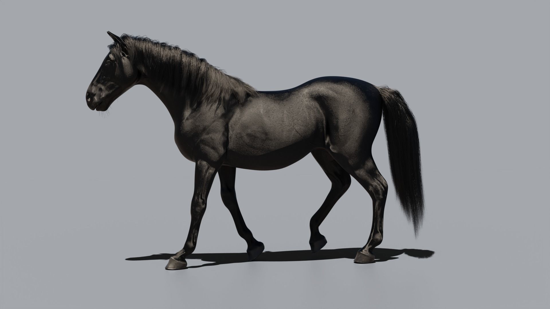 Black horse 3D model_5