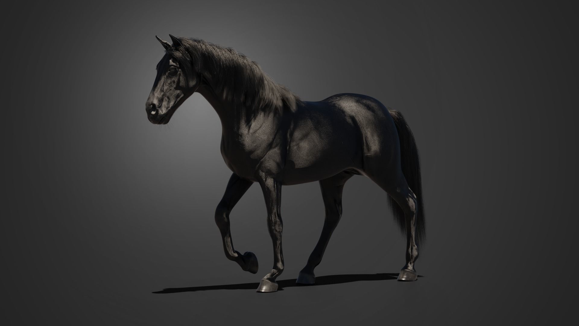 Black horse 3D model_2