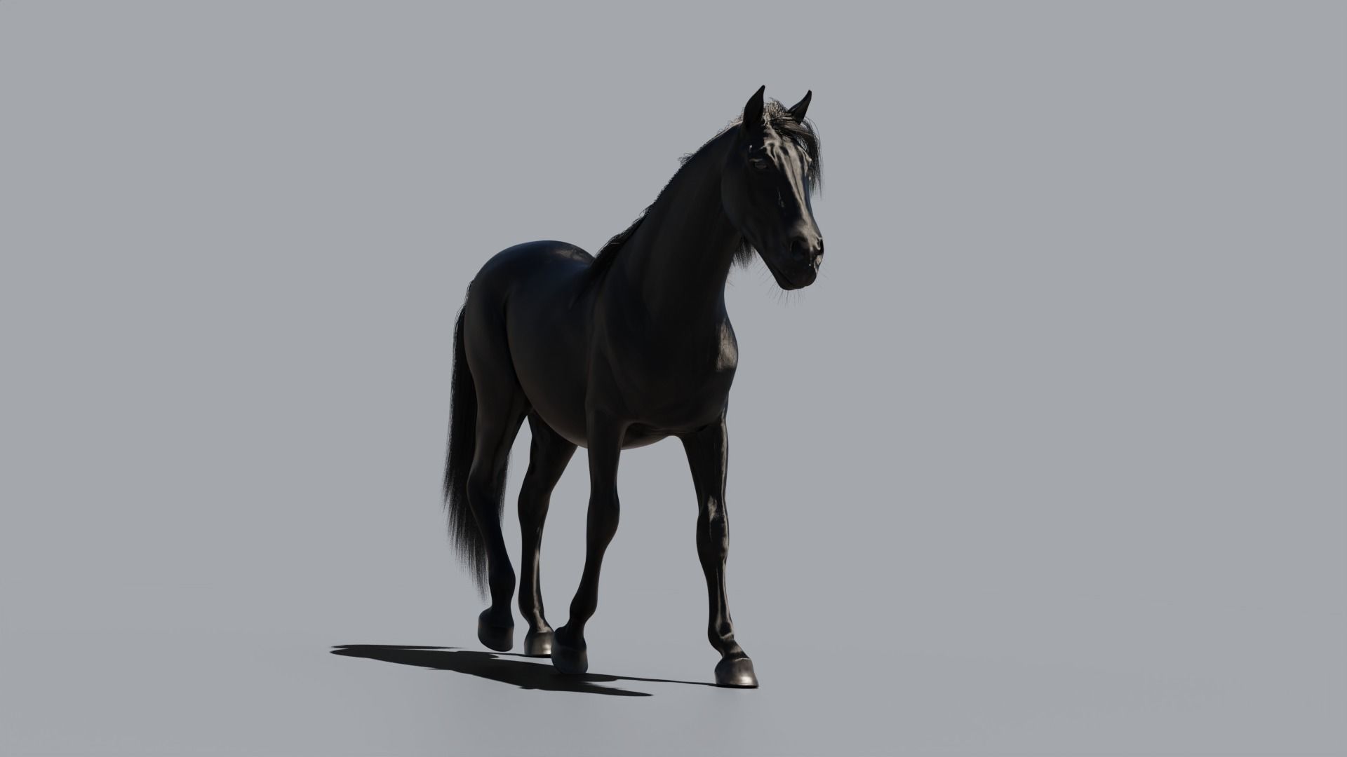 Black horse 3D model_4