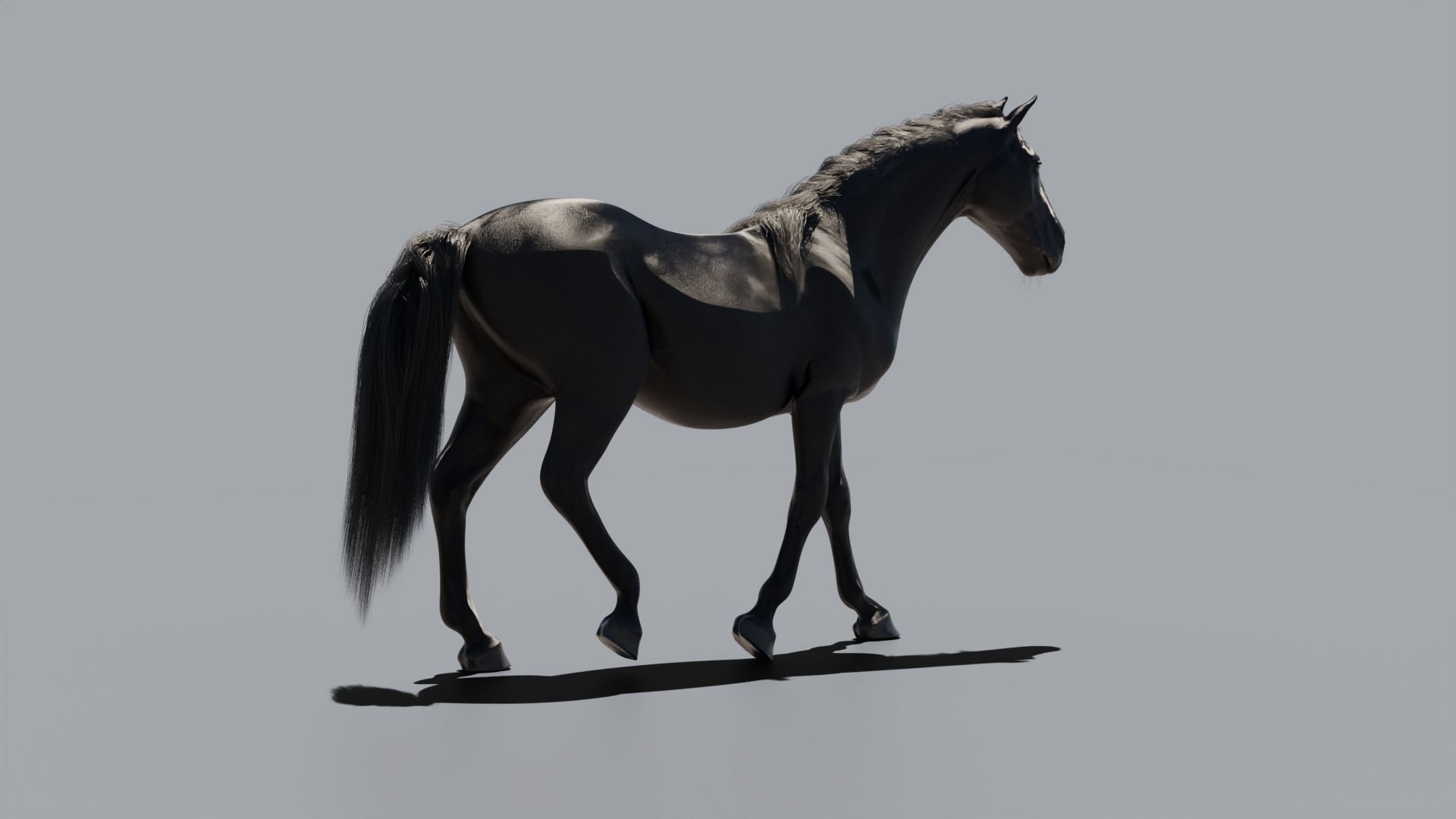 Black horse 3D model_6