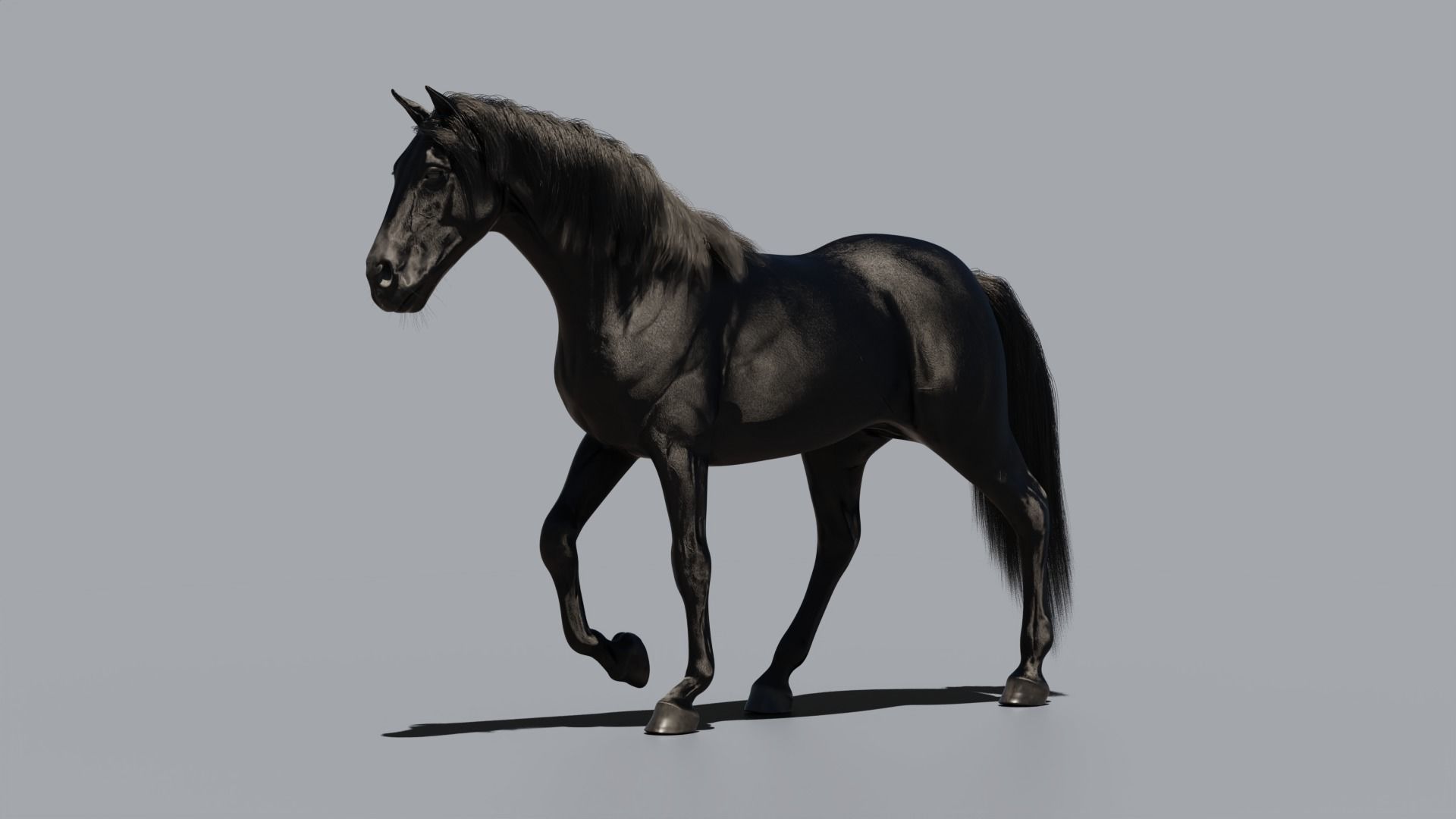 Black horse 3D model_3