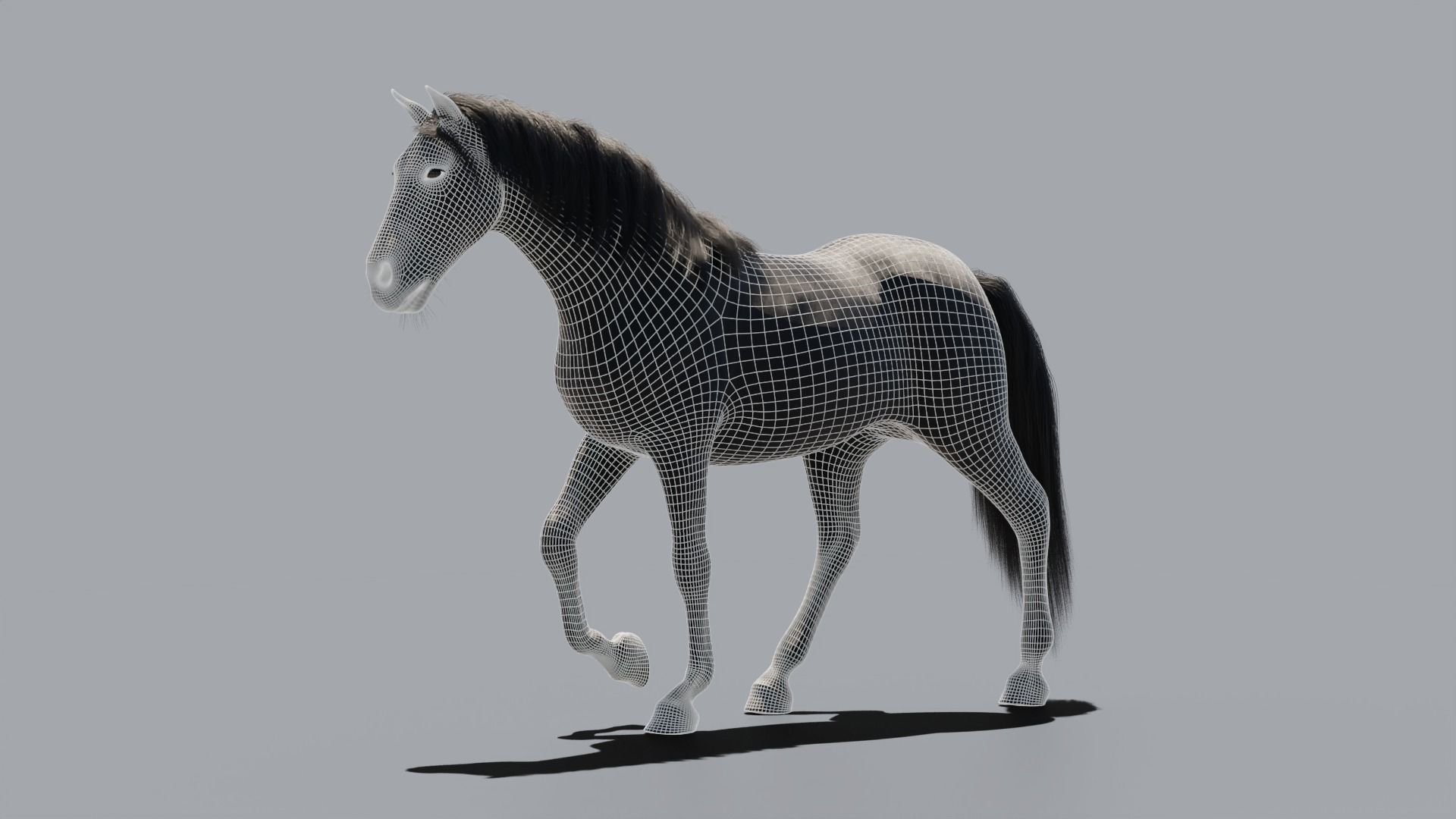 Black horse 3D model_8