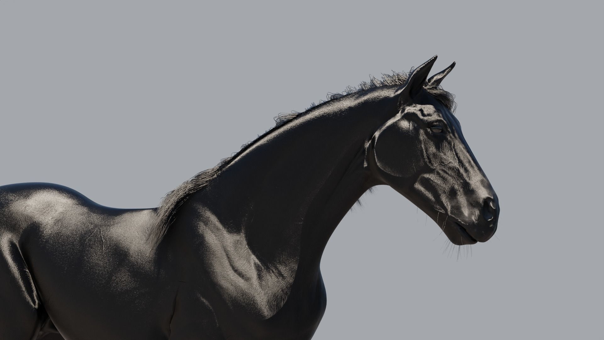 Black horse 3D model_7