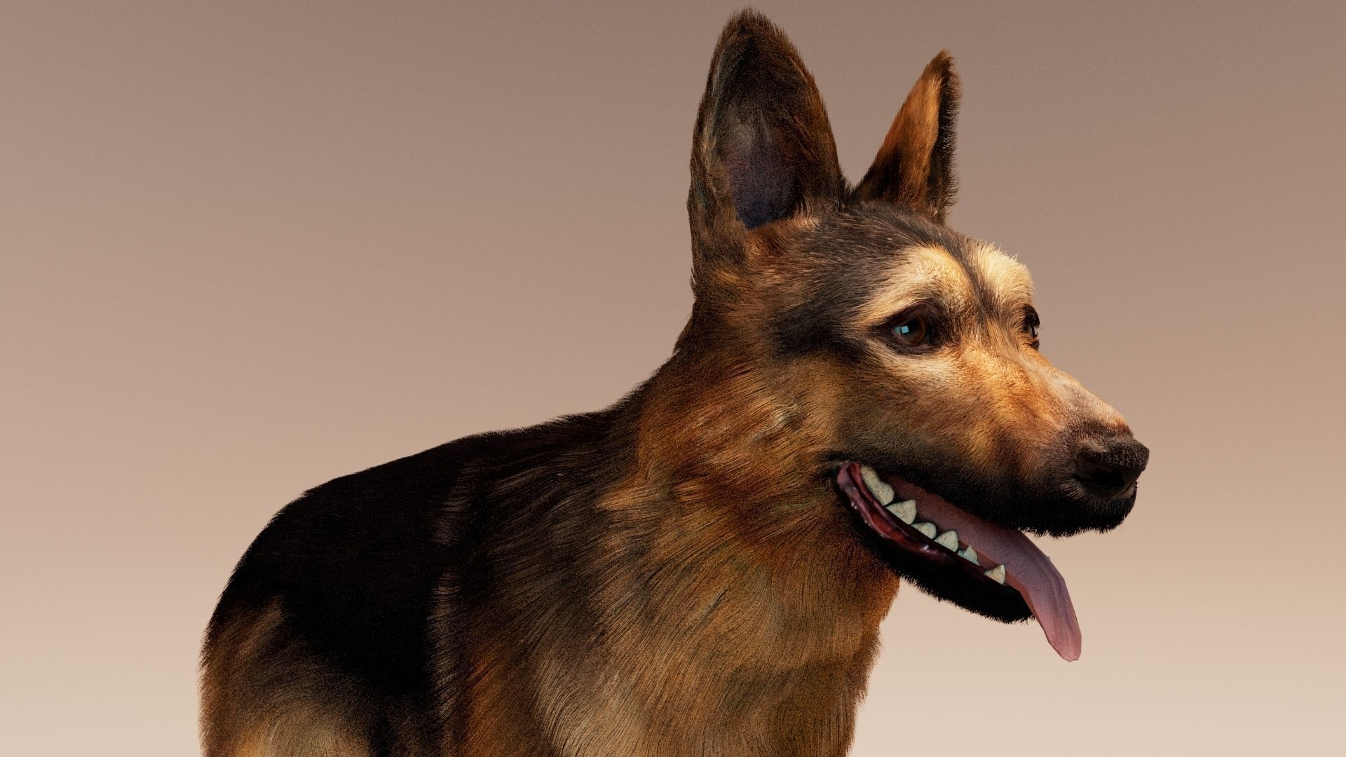German Shepherd   Dynamics   Rigged   Animated 3D model_6