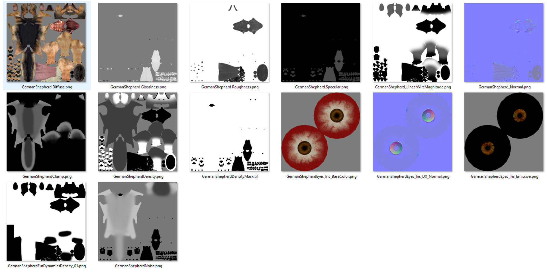 German Shepherd   Dynamics   Rigged   Animated 3D model_14