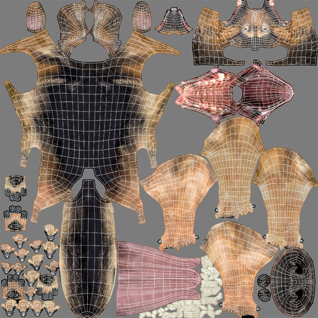 German Shepherd   Dynamics   Rigged   Animated 3D model_13