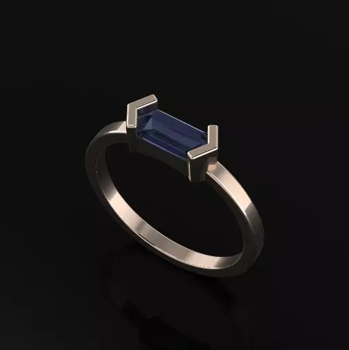 Ring Model 5539 3D print model_0