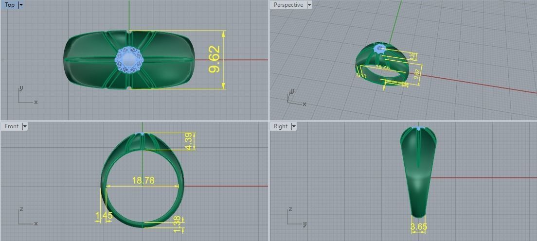 Ring Model 5503 3D print model_5