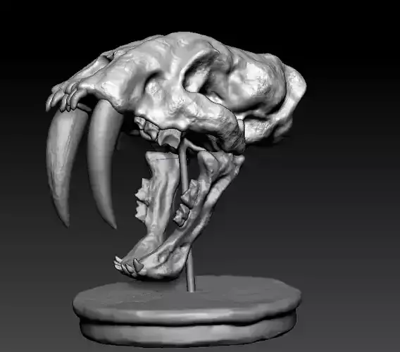 3D printable Sabertooth Cat skull