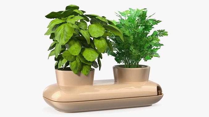 Sagaform Double Pot with Herbs Beige 3D model