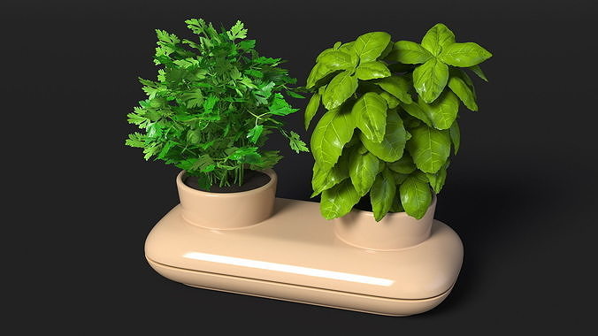 Sagaform Double Pot with Herbs Beige 3D model 7