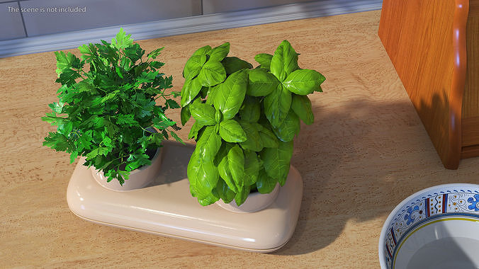 Sagaform Double Pot with Herbs Beige 3D model 4