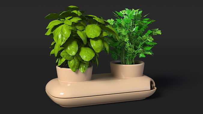Sagaform Double Pot with Herbs Beige 3D model 6